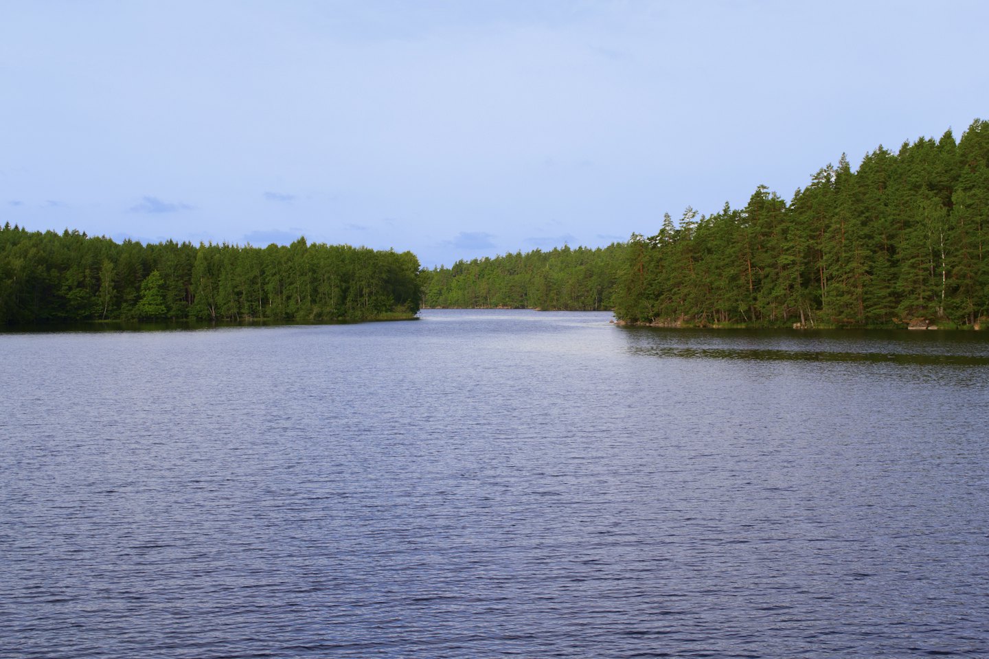Dichte grüne Wälder umgeben einen ruhigen See unter einem blassblauen Himmel.