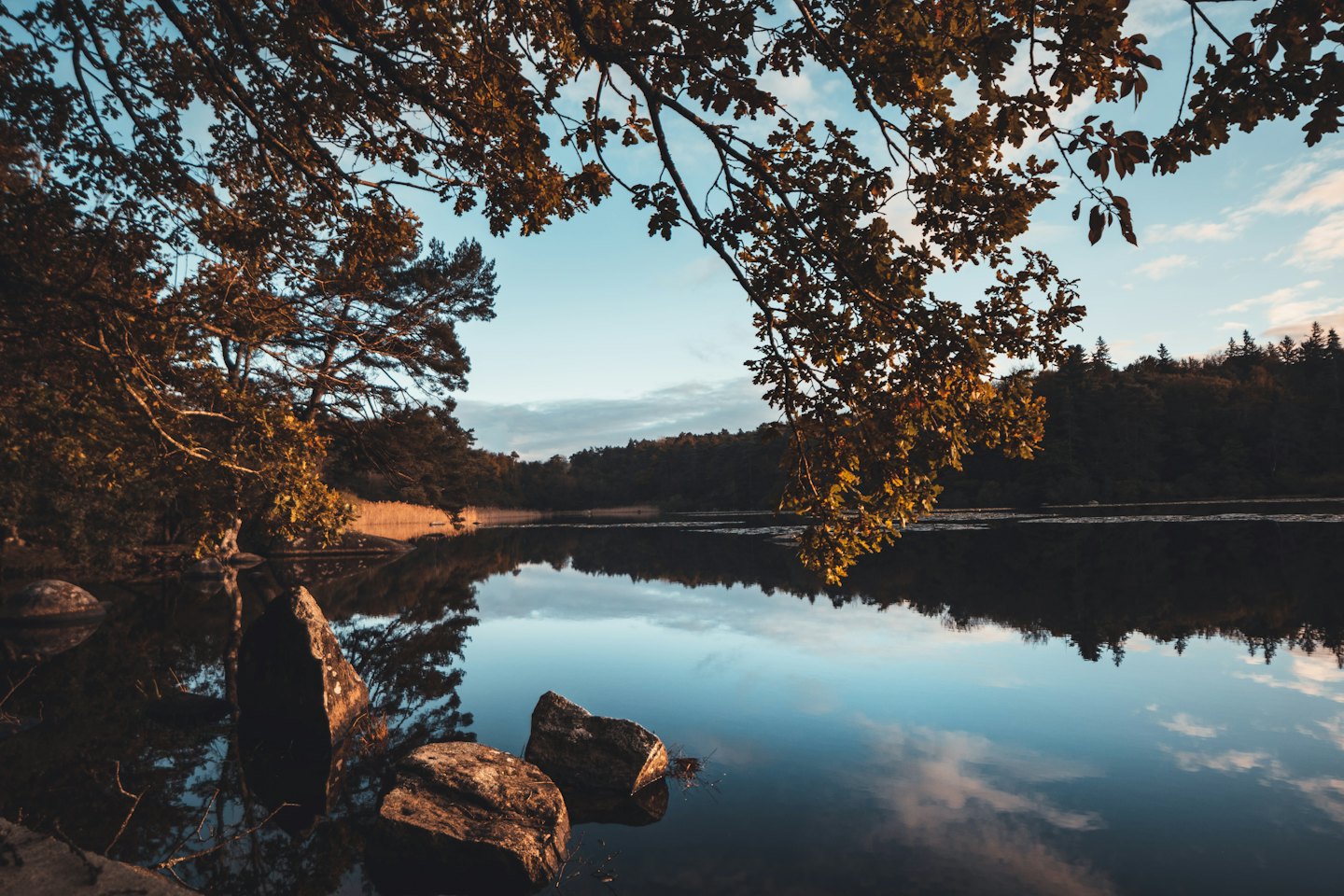 Ruhiger See, der Bäume und Himmel mit Steinen spiegelt.